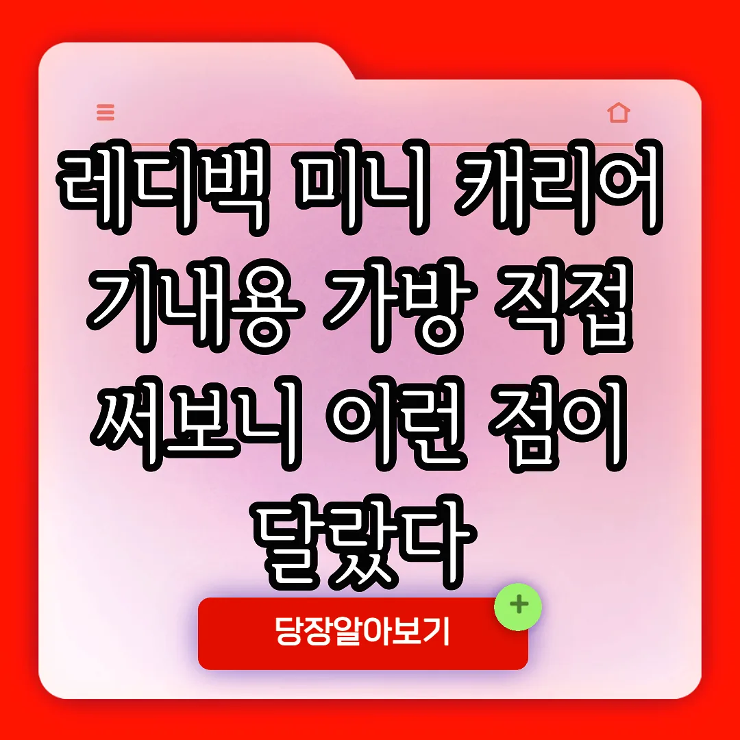 레디백 미니 캐리어 기내용 가방 직접 써보니 이런 점이 달랐다 썸네일