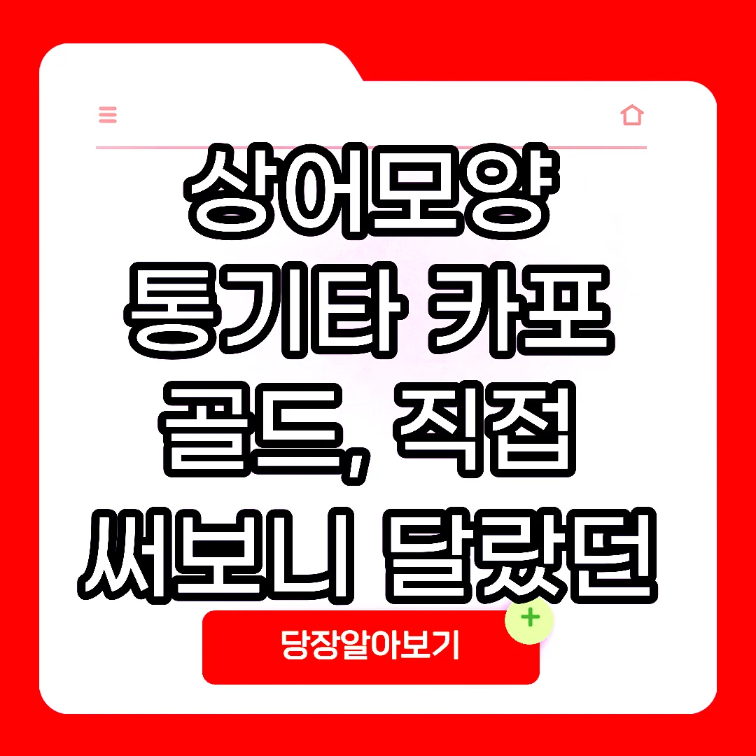 상어모양 통기타 카포 골드, 직접 써보니 달랐던 이유 썸네일