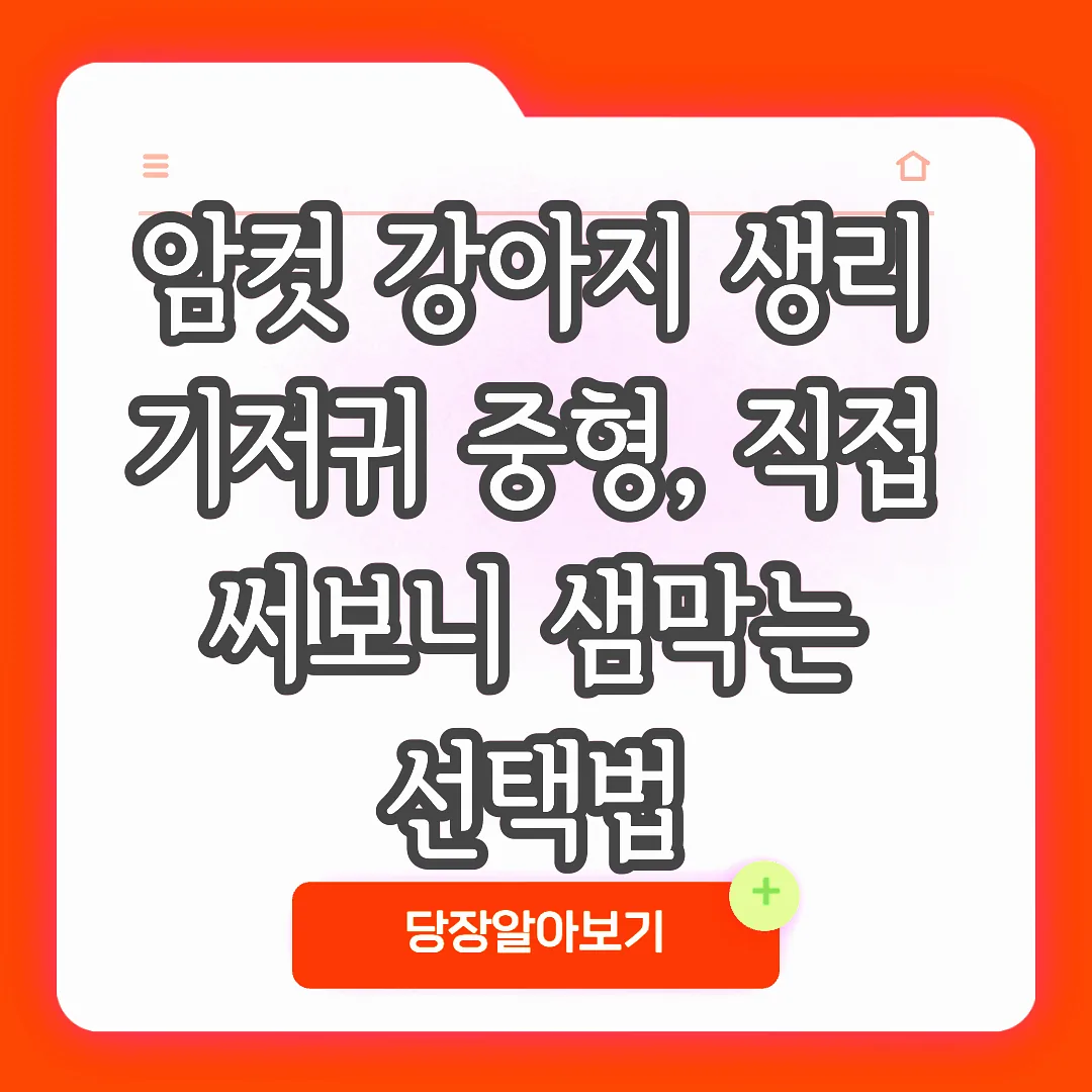 암컷 강아지 생리 기저귀 중형, 직접 써보니 샘막는 선택법 썸네일